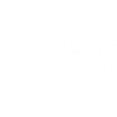 Apple Pay